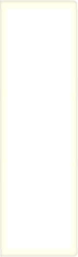 ANVIPSYCH CONSULTING GROUP  2005