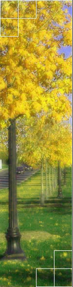 At Anvipsych Consulting, Inc. We are ready to serve you!!